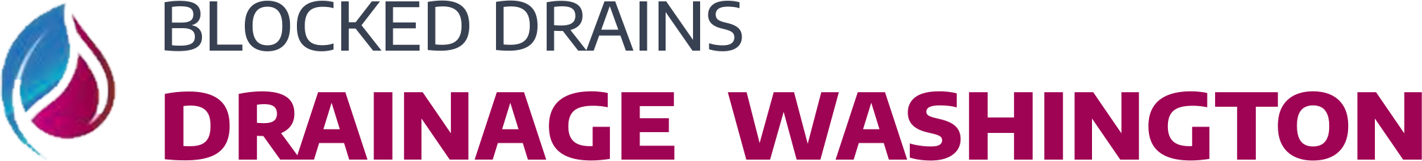 website logo
